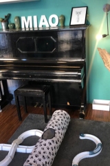 78539206_1391432144313839_4949454701989986304_n