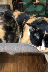 78610586_723158568176537_7747327025739726848_n