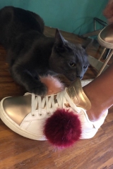 78701765_423440138532319_6261858323801309184_n