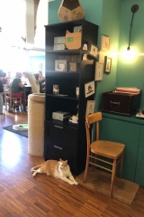 80190751_565997993962173_277155442201722880_n